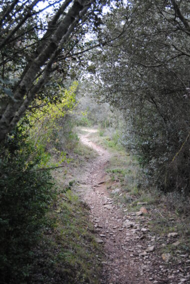 Camino de Santiago por Tiebas