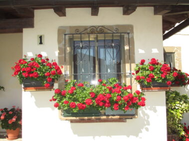 Detalle de casa en Tiebas